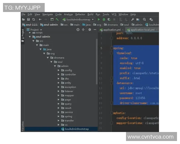2023赛季联赛资讯概览全面解析球队动态与球员表现